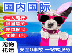 德宏芒市空运代理国际宠物托运 【国